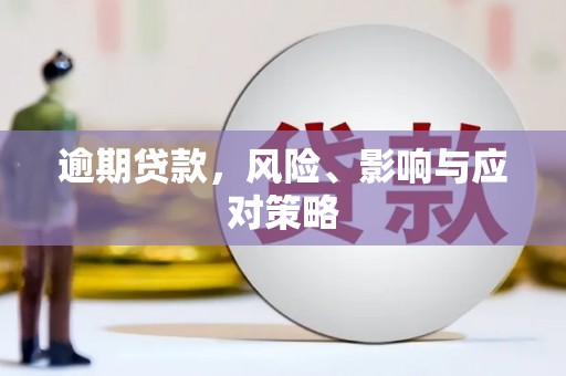耀州逾期贷款，风险、影响与应对策略