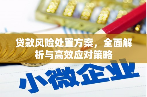 巴州贷款风险处置方案，全面解析与高效应对策略