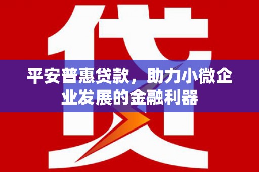 临沧平安普惠贷款，助力小微企业发展的金融利器