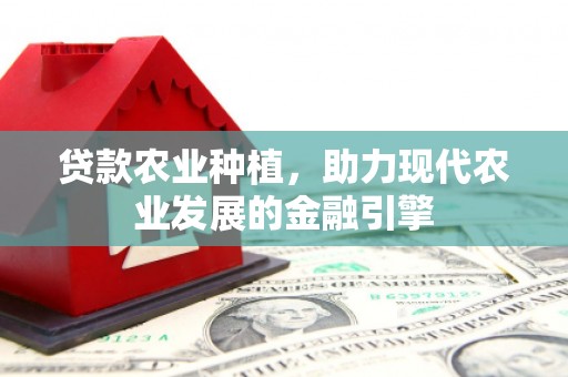 大内贷款农业种植，助力现代农业发展的金融引擎