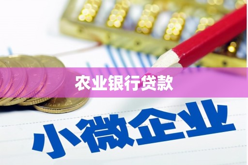 邵阳县农业银行贷款