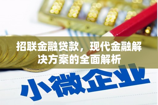 花莲招联金融贷款，现代金融解决方案的全面解析