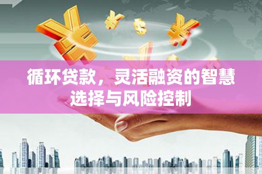 海端循环贷款，灵活融资的智慧选择与风险控制