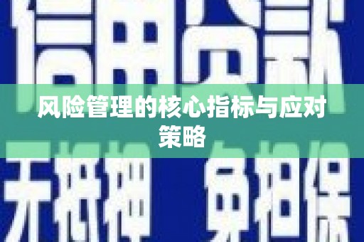 岱山风险管理的核心指标与应对策略