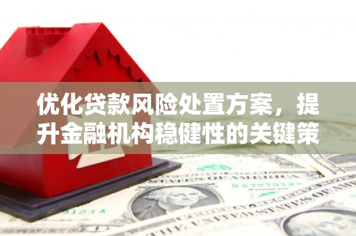 林西优化贷款风险处置方案，提升金融机构稳健性的关键策略