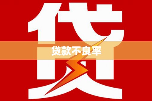 刚察贷款不良率