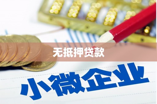 随州无抵押贷款