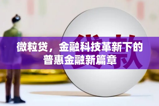 兰屿微粒贷，金融科技革新下的普惠金融新篇章
