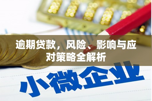 巧家逾期贷款，风险、影响与应对策略全解析
