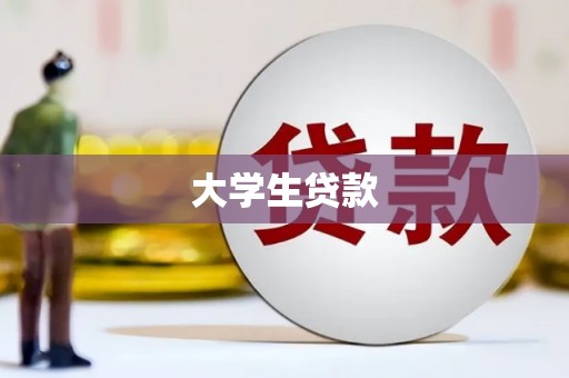 娄星大学生贷款