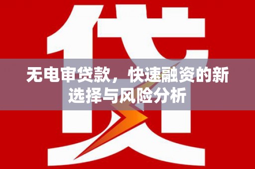 大武无电审贷款，快速融资的新选择与风险分析