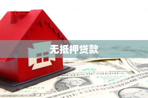 上林无抵押贷款