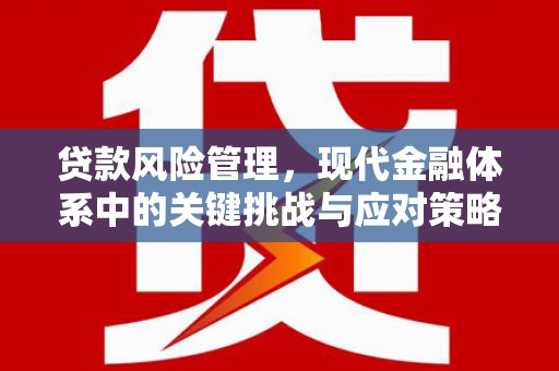 抚远贷款风险管理，现代金融体系中的关键挑战与应对策略