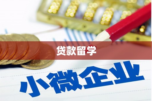 马边贷款留学