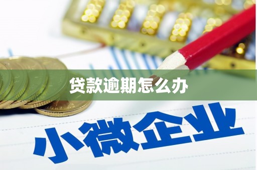 随县贷款逾期怎么办