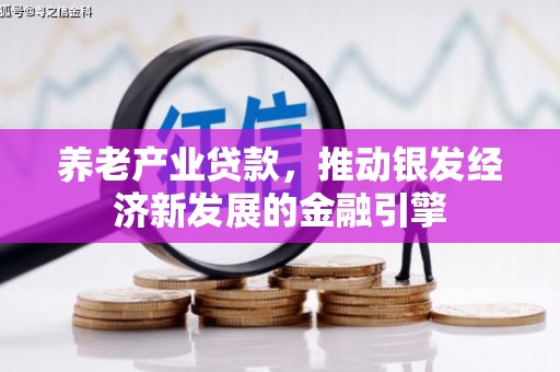 桂平养老产业贷款，推动银发经济新发展的金融引擎