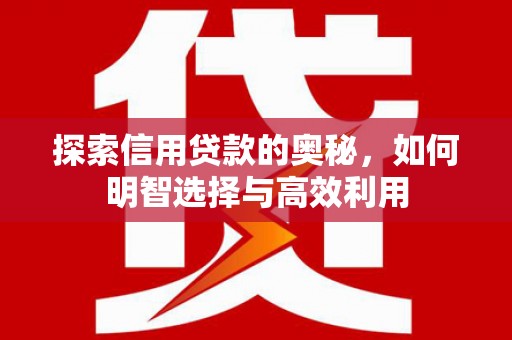 天宁探索信用贷款的奥秘，如何明智选择与高效利用