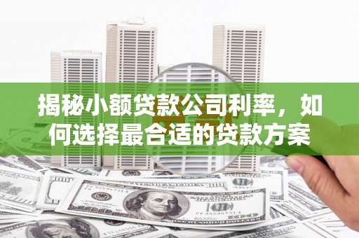 克什克腾旗揭秘小额贷款公司利率，如何选择最合适的贷款方案