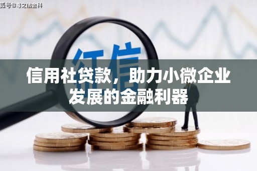 灌阳信用社贷款，助力小微企业发展的金融利器