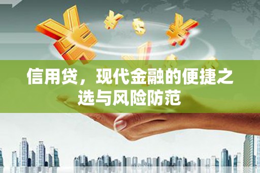 鹤城信用贷，现代金融的便捷之选与风险防范
