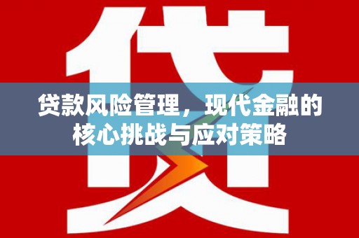 石排贷款风险管理，现代金融的核心挑战与应对策略