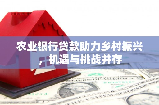 衢州农业银行贷款助力乡村振兴，机遇与挑战并存