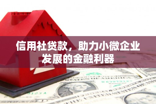 土库信用社贷款，助力小微企业发展的金融利器