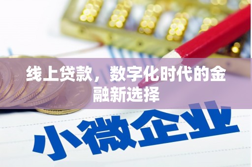 岳阳线上贷款，数字化时代的金融新选择