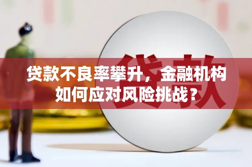 揭东贷款不良率攀升，金融机构如何应对风险挑战？