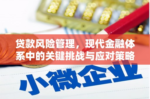 法库贷款风险管理，现代金融体系中的关键挑战与应对策略