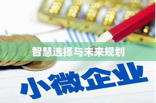 泾川智慧选择与未来规划