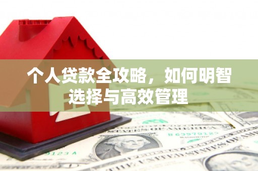 南郊个人贷款全攻略，如何明智选择与高效管理