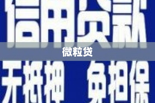 富县微粒贷