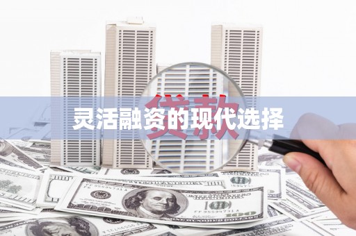 乐东灵活融资的现代选择