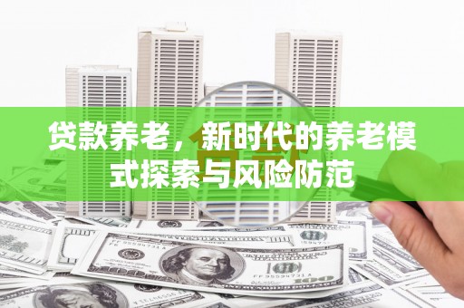 新野贷款养老，新时代的养老模式探索与风险防范