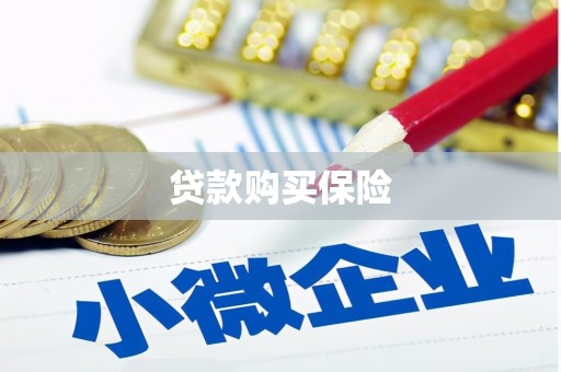 禅城贷款购买保险