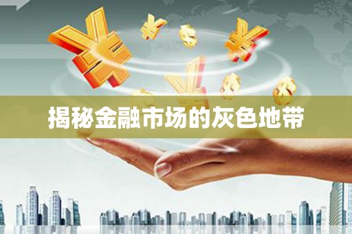 西海岸揭秘金融市场的灰色地带