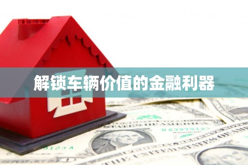 山南解锁车辆价值的金融利器