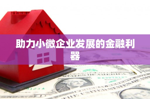 长洲助力小微企业发展的金融利器