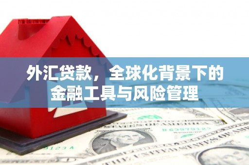 巧家外汇贷款，全球化背景下的金融工具与风险管理
